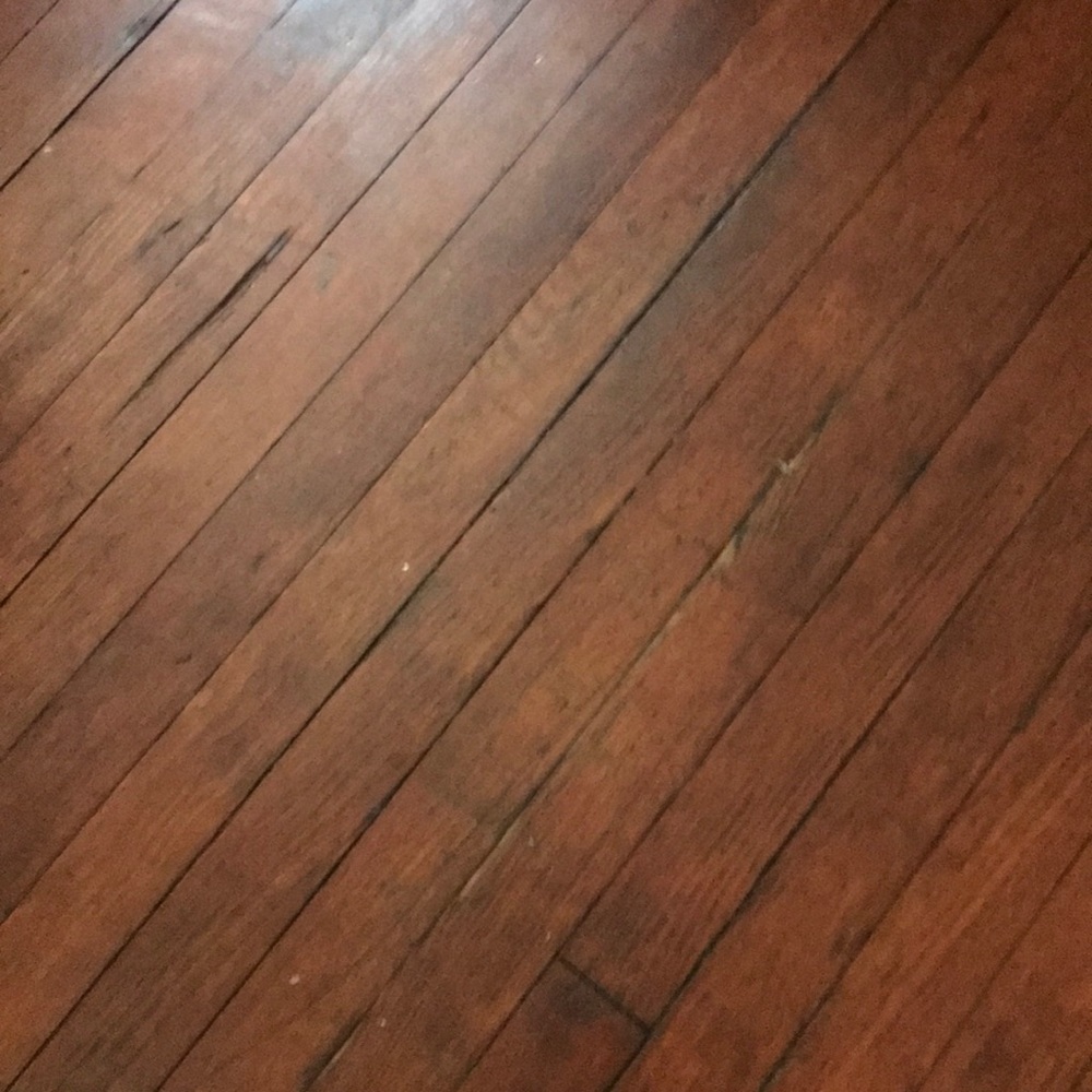 Meet your Posher, Sabine